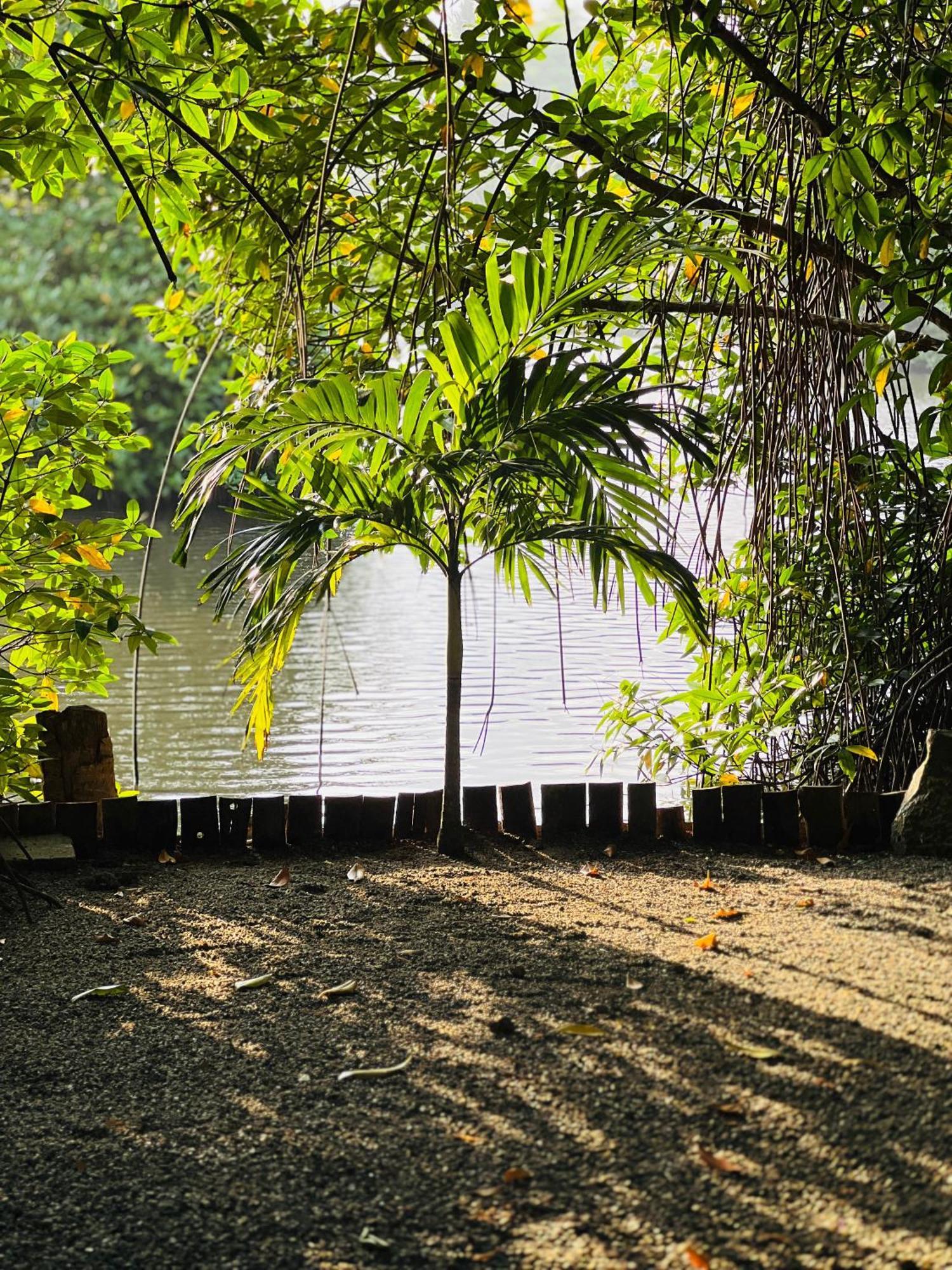 Water'S Edge Villa Ahangama Exterior foto