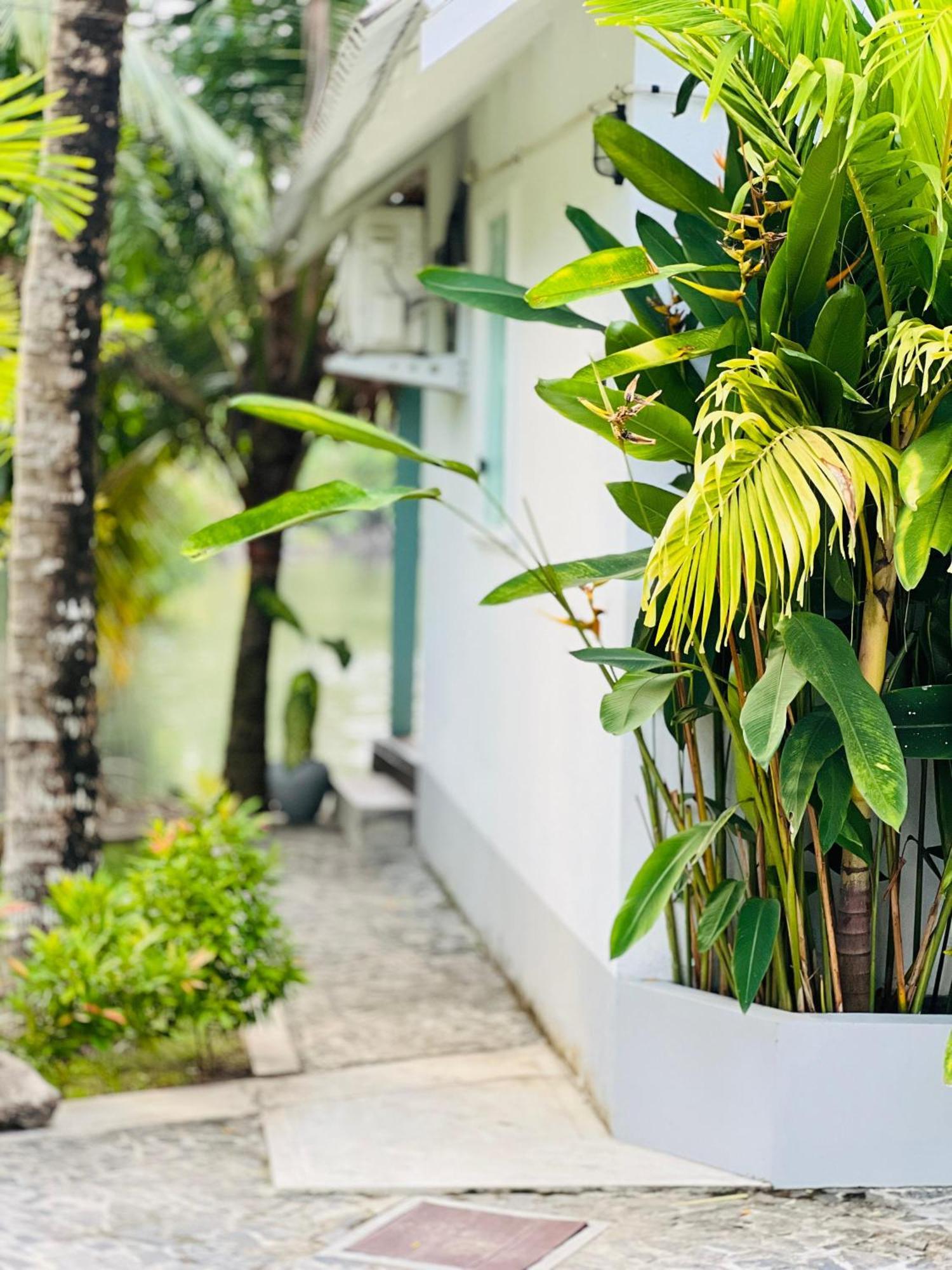 Water'S Edge Villa Ahangama Exterior foto